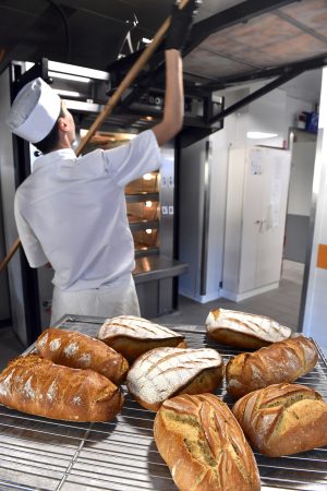 Transition écologique : un paradoxe entre la parole et les actes