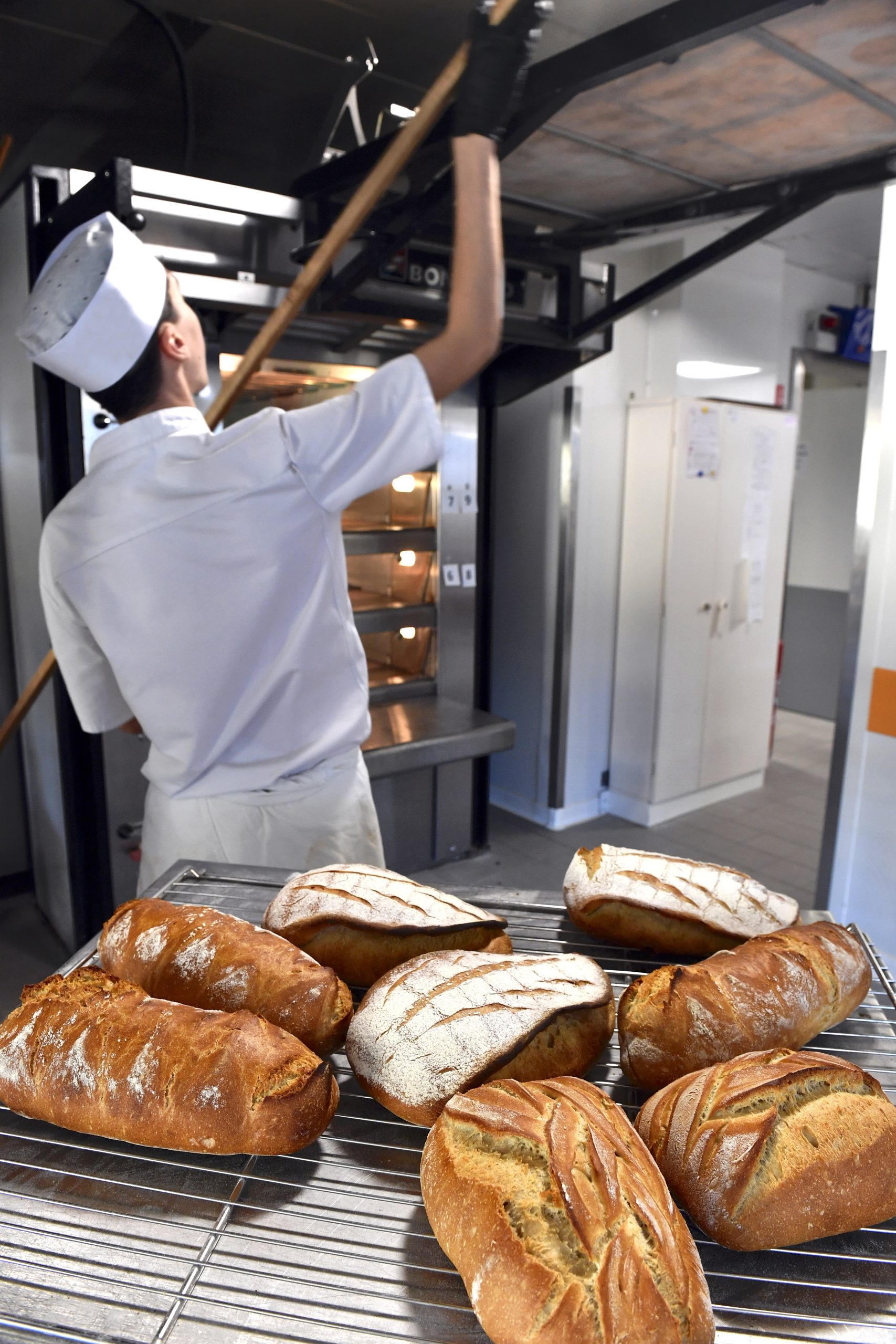 Transition écologique : un paradoxe entre la parole et les actes