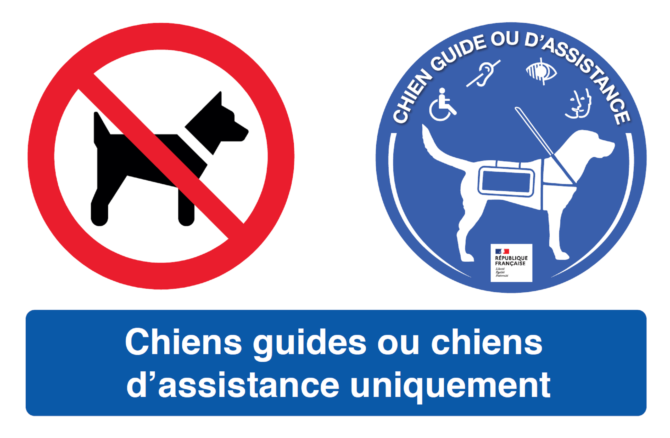 L’interdiction des animaux dans les boulangeries-pâtisseries