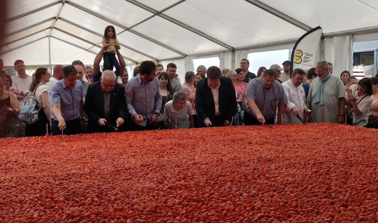 Moselle : record battu de la plus grande tarte aux fraises du monde !