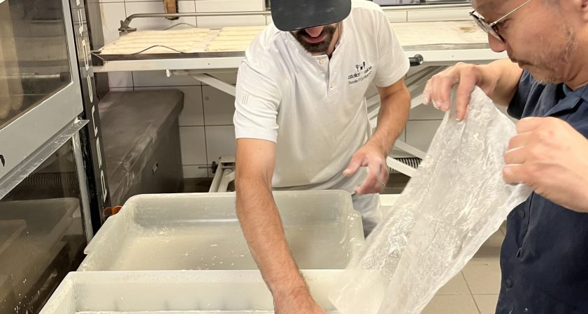 Reconversion professionnelle : une opportunité à saisir et à cultiver !