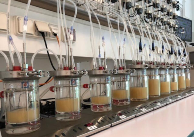 Lesaffre investit dans les tests In Vitro