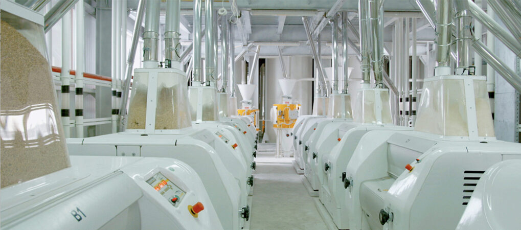 Une bibliothèque numérique pour développer l’attractivité des métiers en meunerie