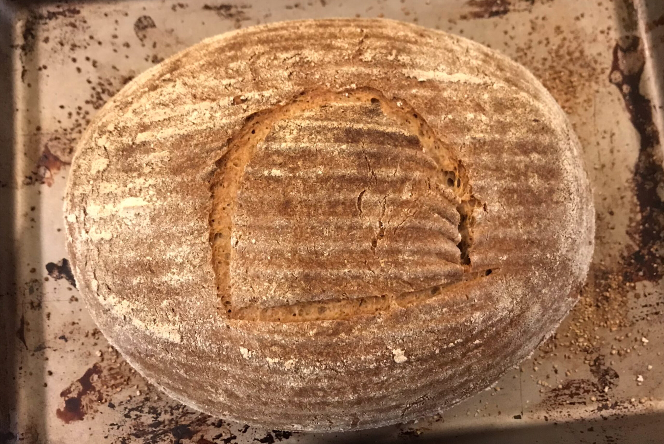 Un pain égyptien fabriqué avec une levure vieille de… 4 500 ans !