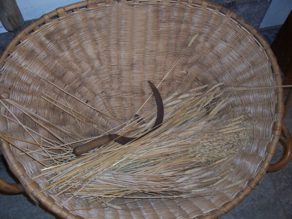 Qu’est-ce que c’est ?