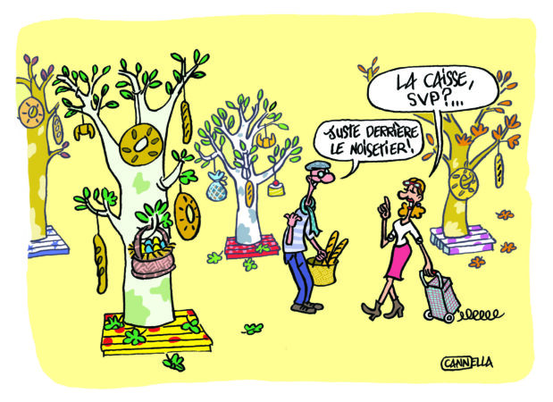 Le bois, une matière tendance