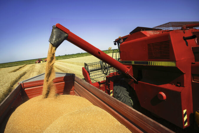 Céréales : une filière française toujours dynamique dans un contexte international tendu