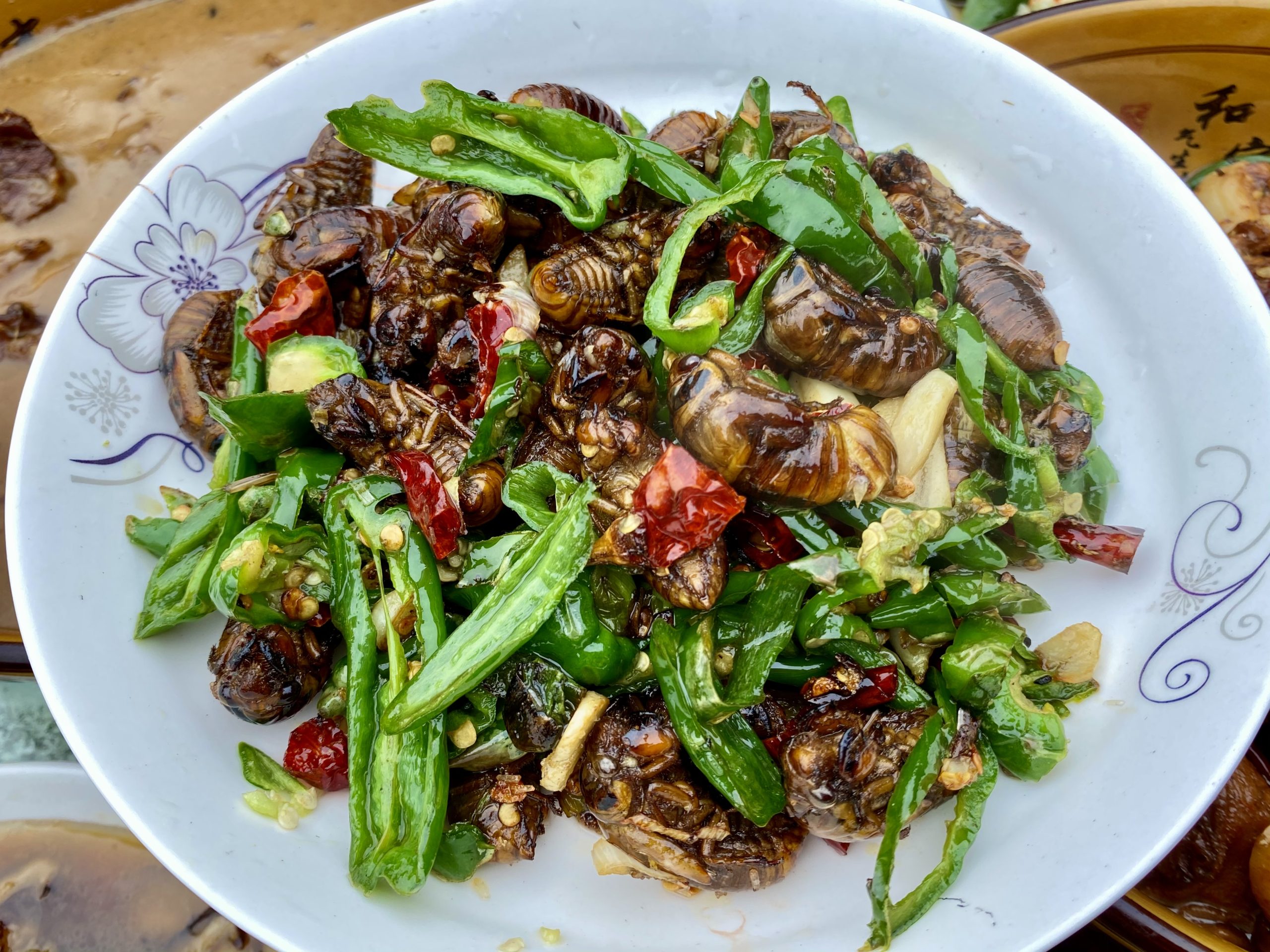 Des insectes dans votre assiette