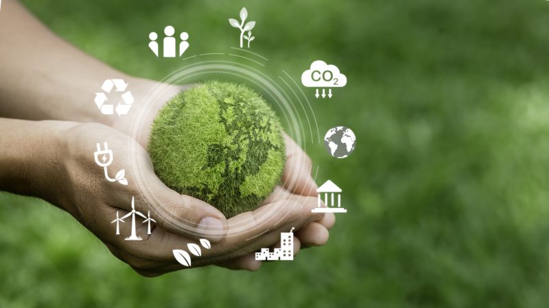 Mise en place d’une plateforme unique pour accompagner les entreprises dans leur mutation