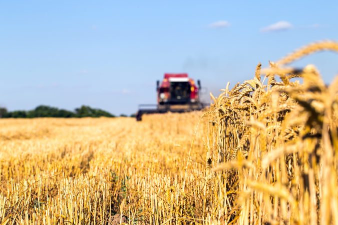 La France retrouve des bons volumes