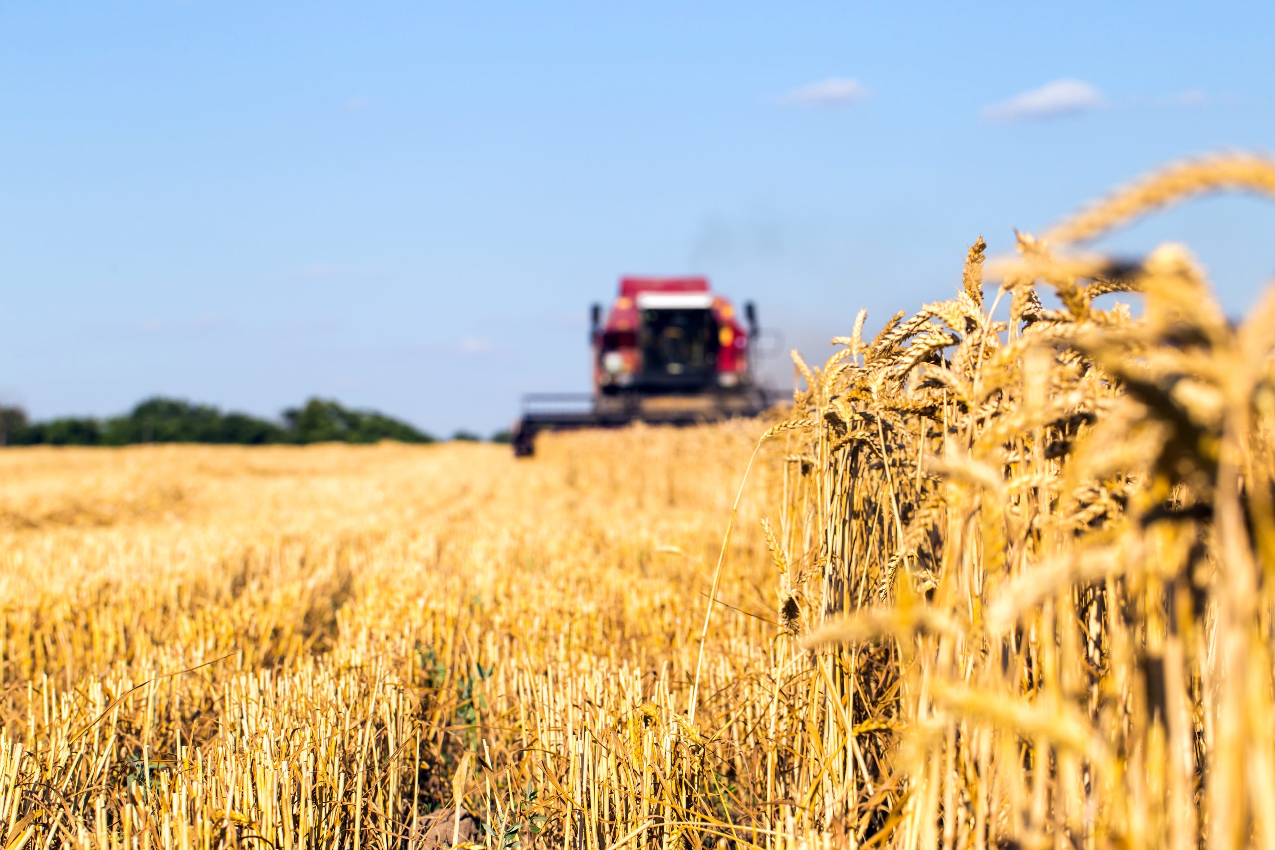 La France retrouve des bons volumes